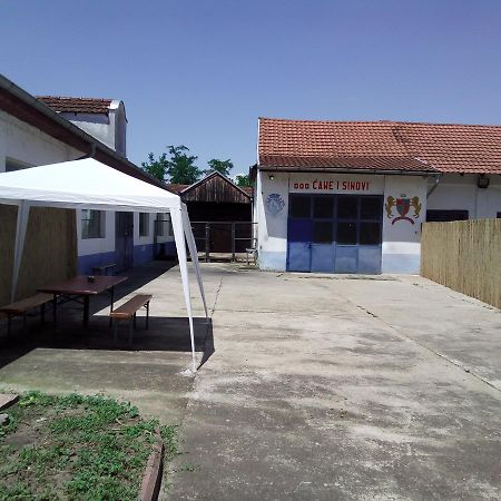 Guest House Cane Smestaj Бела Църква Екстериор снимка