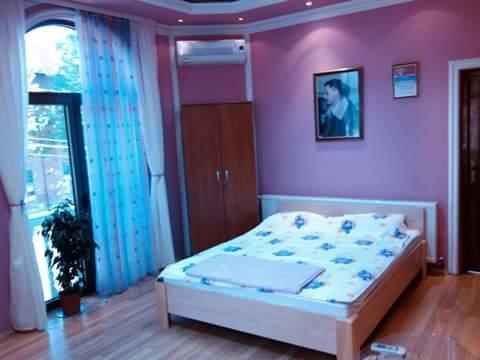 Guest House Cane Smestaj Бела Църква Екстериор снимка