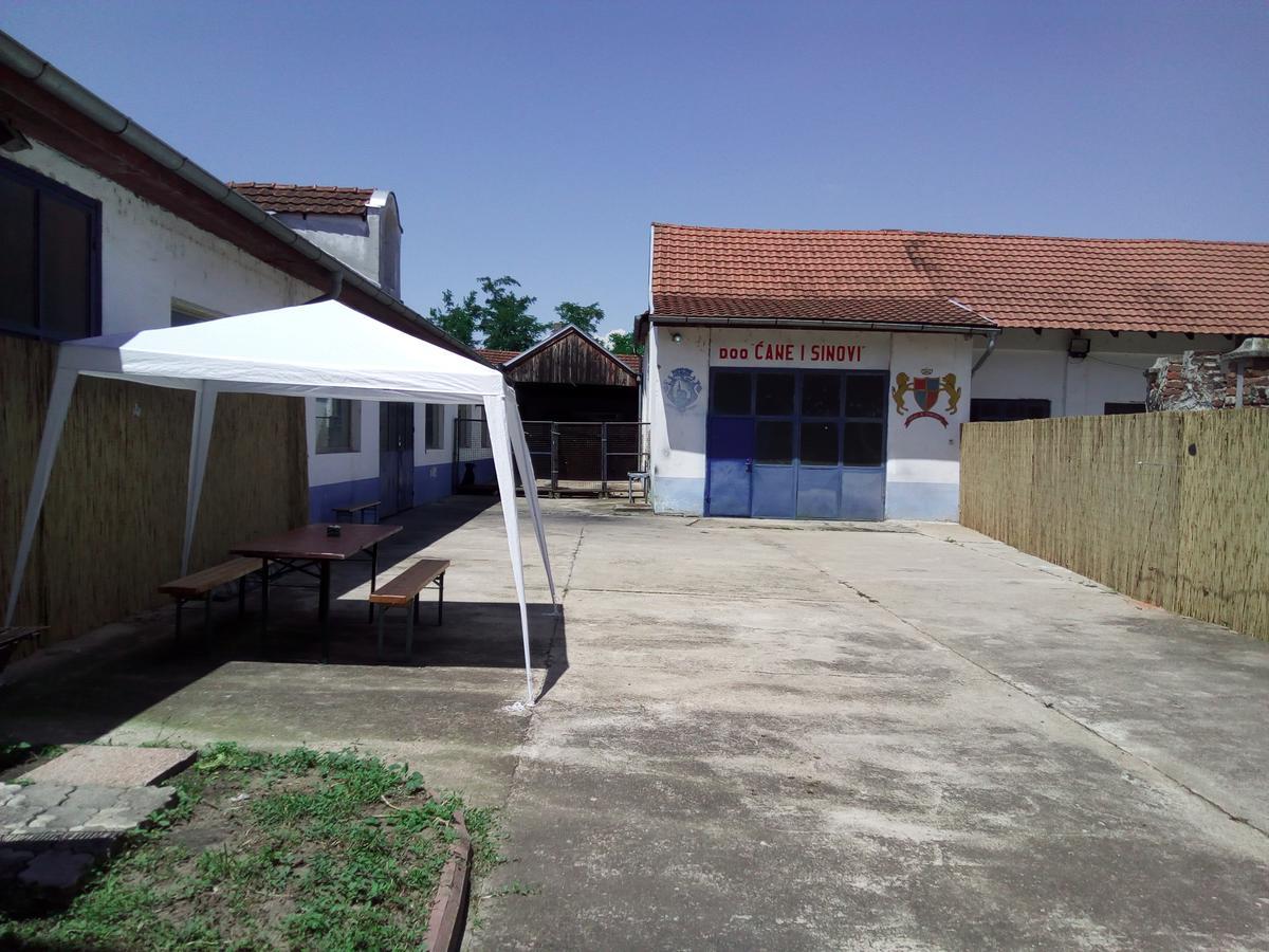 Guest House Cane Smestaj Бела Църква Екстериор снимка